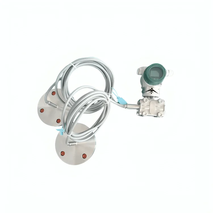 Remote Seal Manufacturer in India - SMIPL